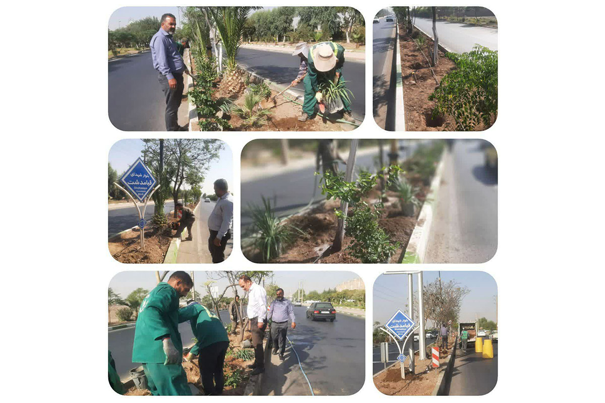 اصلاح کاشت و روش آبیاری  رفیوژ میانی  بلوار شهدای قیامدشت 